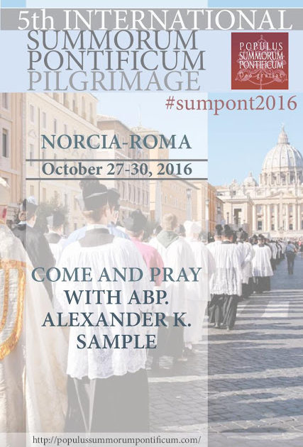 v-peregrinacion-summorum-pontificum-2016-pilgrimage